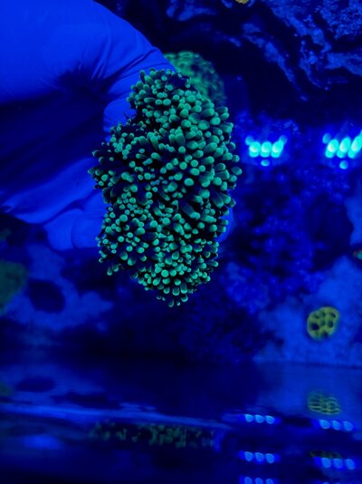 IMG_9436.jpeg IMG_9436.jpeg