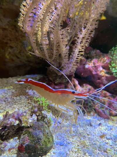 IMG_6664.jpeg