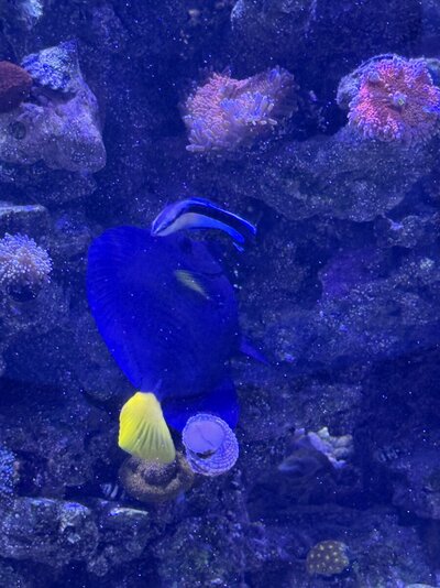 IMG_6313.jpeg