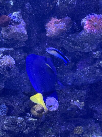 IMG_6312.jpeg