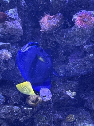 IMG_6314.jpeg