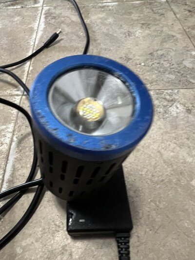 IMG_1262.jpeg