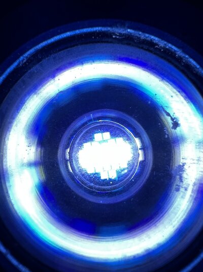 IMG_1263.jpeg