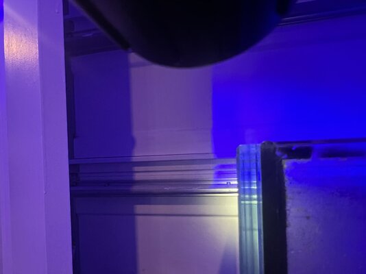 IMG_2073.jpeg