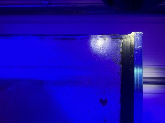 IMG_2072.jpeg