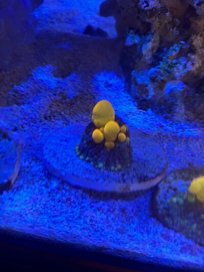 IMG_1414.jpeg