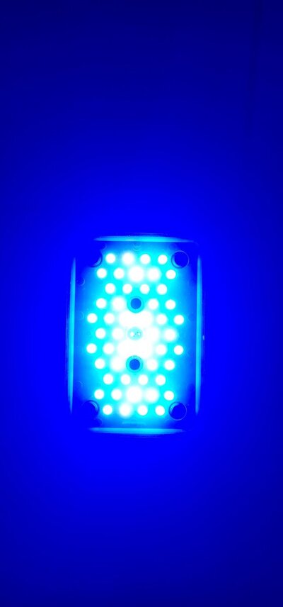 20250730_181153.jpg