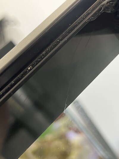 IMG_9918.jpeg
