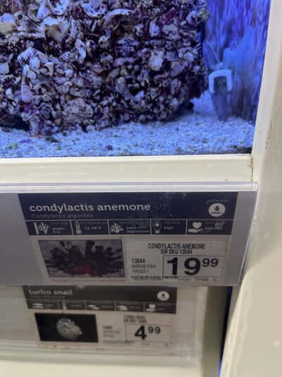 IMG_9526.jpeg