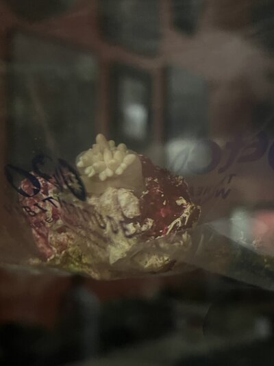 IMG_9535.jpeg