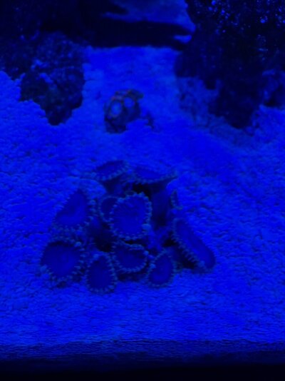 IMG_5919.jpeg