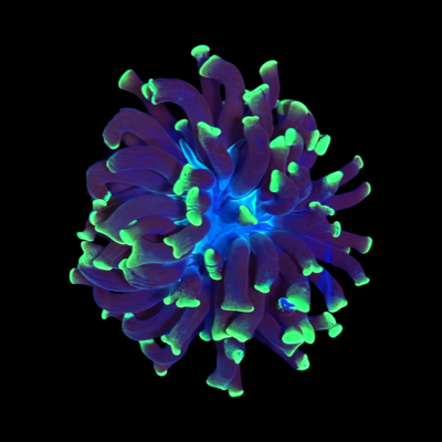IMG_3838.png