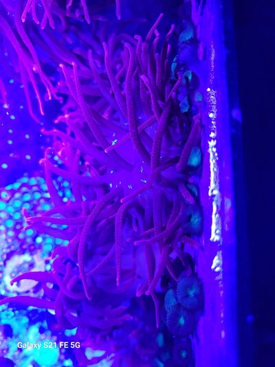 20250810_182452.jpg