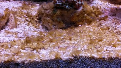 20160627_184841.jpg