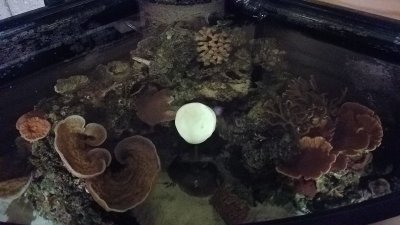 20170124_200508.jpg 20170124_200508.jpg