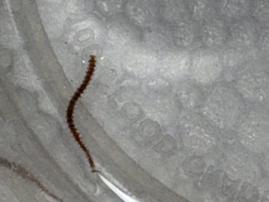 IMG_0280.jpeg