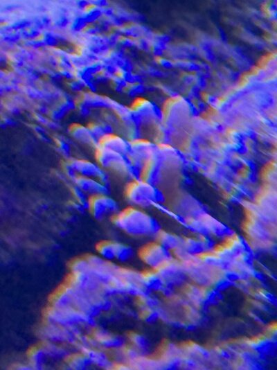 IMG_3913.jpeg