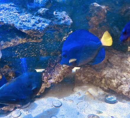 IMG_0009.jpeg
