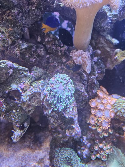 20250902_180101.jpg