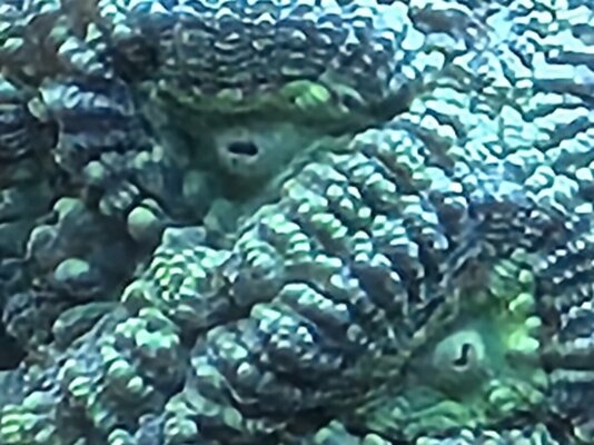 20250718_183303.jpg