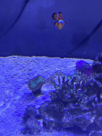 IMG_7542.jpeg