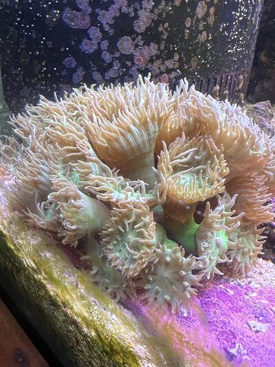 IMG_4280.jpeg