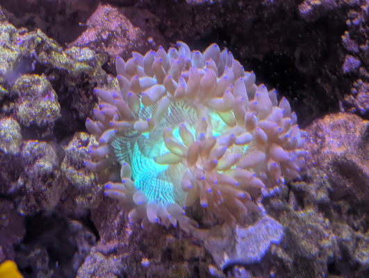 20250924_225200_520EBDF3-758F-43BC-A7AC-74DEC4DA227C.png