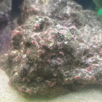 20250926_093505_6E2A0BDF-C473-4940-A322-CDED0C80B3F1.png