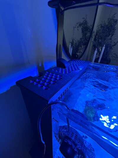 IMG_1610.jpeg