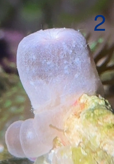 20251018_024326_3A91B882-5B2D-41B4-B675-F66D4BC800CB.png