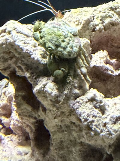 IMG_0134.jpeg
