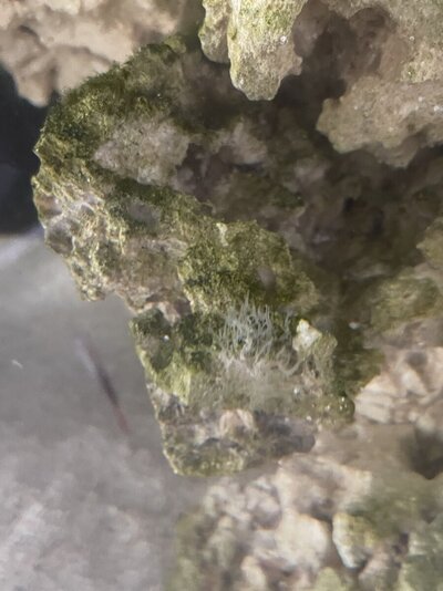 IMG_0160.jpeg