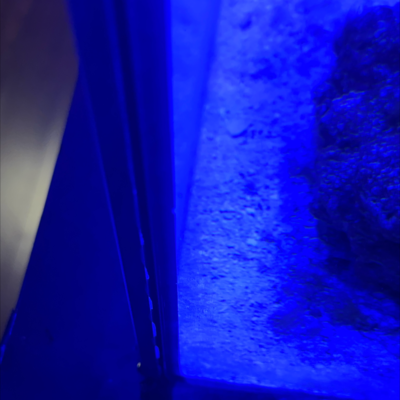 20251105_014213_546B02D1-0CA1-49B9-A732-A32186AA9E7E.png