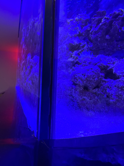 20251105_020444_9615E452-D6E6-4D47-BF73-1715A223606B.png