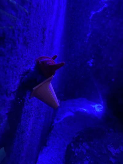 20251112_092350_6051B76D-2DBA-40A9-AFF8-FBD53190FD0A.png