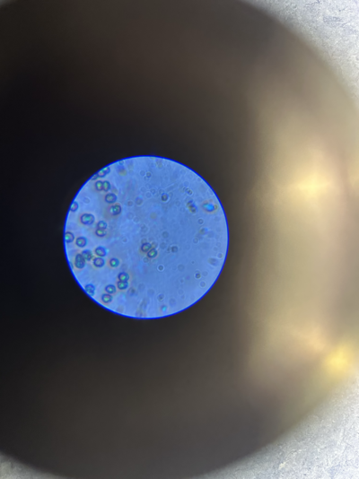20251112_215935_6A65FF67-2A92-4F4D-9424-72D687283D65.png