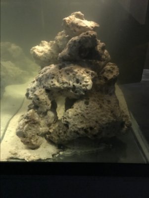 IMG_0416.JPG IMG_0416.JPG