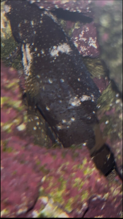 IMG_5578.jpeg