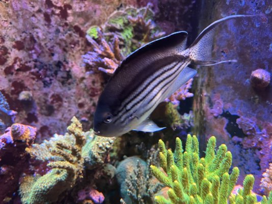IMG_2536.jpeg