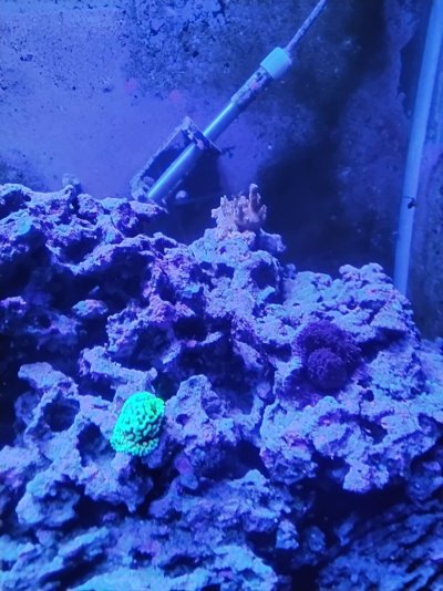 20251122_172040.jpg