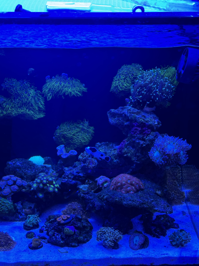 20251123_140248_FD40056E-4F78-47D4-AE81-3E5A169CF5B6.png
