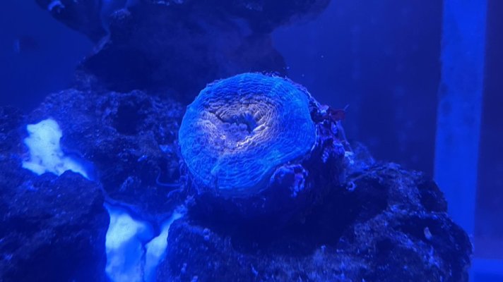IMG_4644.jpg