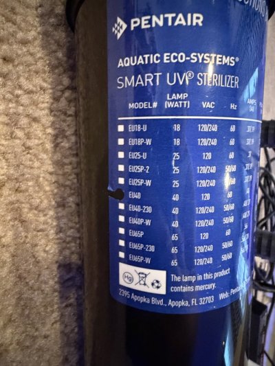IMG_9986.jpeg