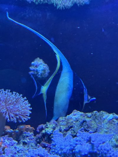 IMG_3526.jpeg