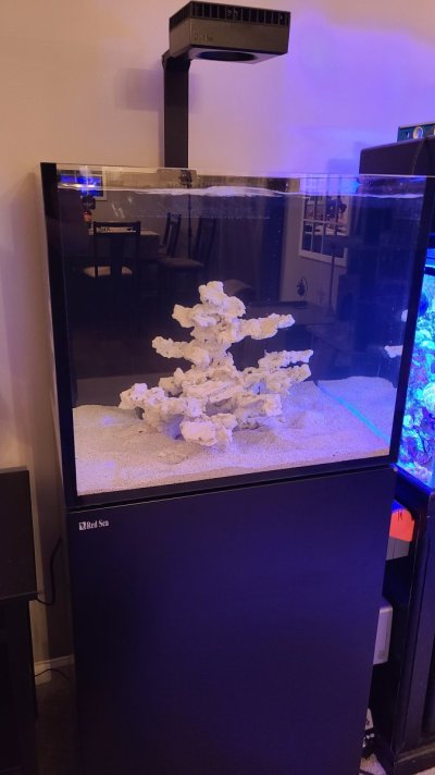 aquascape-ideas.jpg