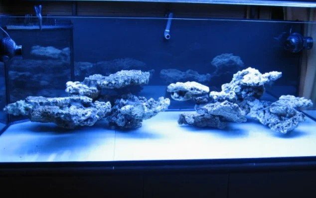 aquascape-ideas5.jpeg