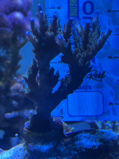 IMG_8021.jpeg