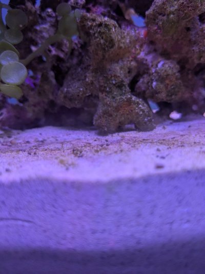 PXL_20251209_130241971.jpg