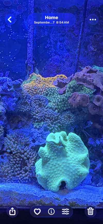 20251212_102834_002A8C07-33B6-4F80-A7D1-02BC546BD2EC.png