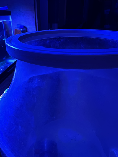 20251214_012044_3A64DB26-E37D-453C-923B-03F68F69F3AD.png